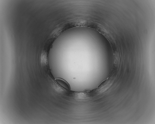 X0000112430287200908211207