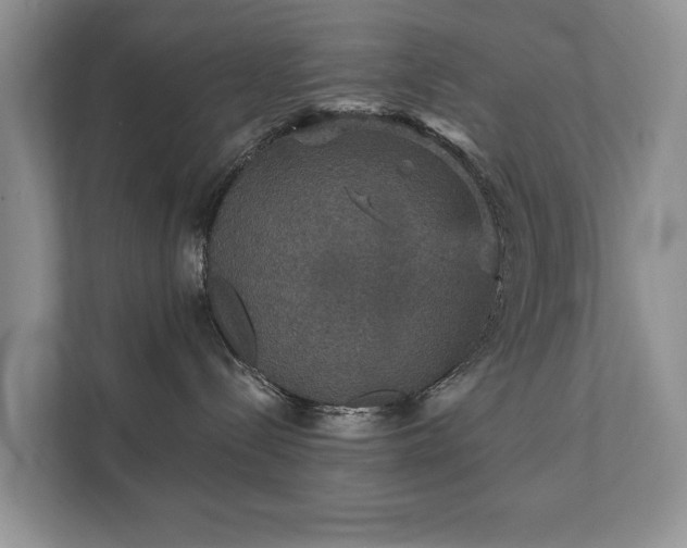 X0000112430288200908211207