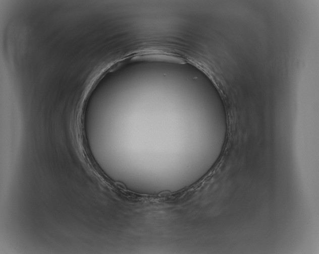 X0000112430289200908211206
