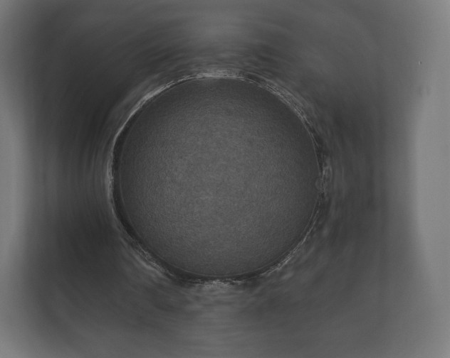 X0000112430290200908211206