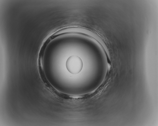 X0000112430292200908211206