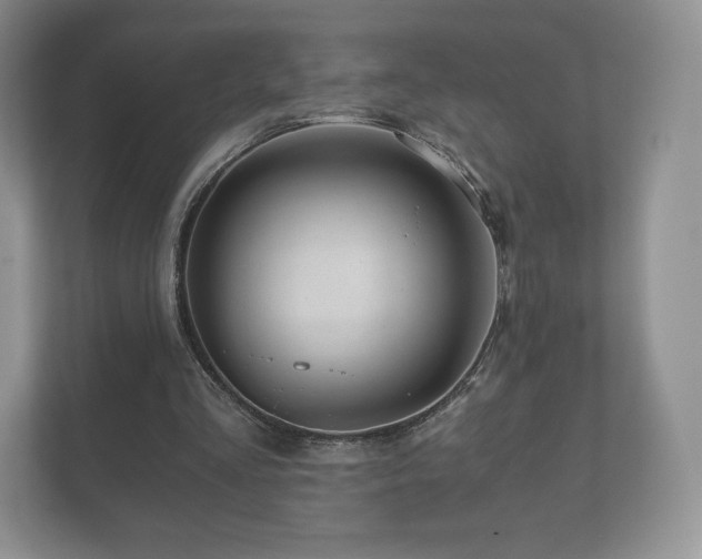 X0000112430293200908211206
