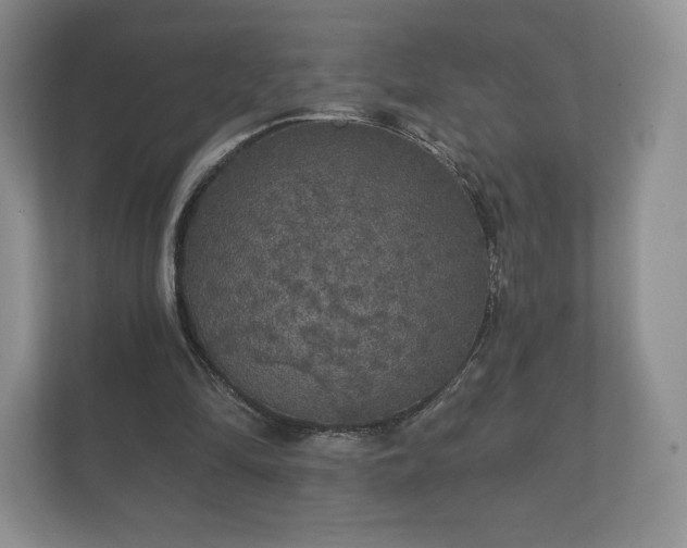 X0000112430294200908211206