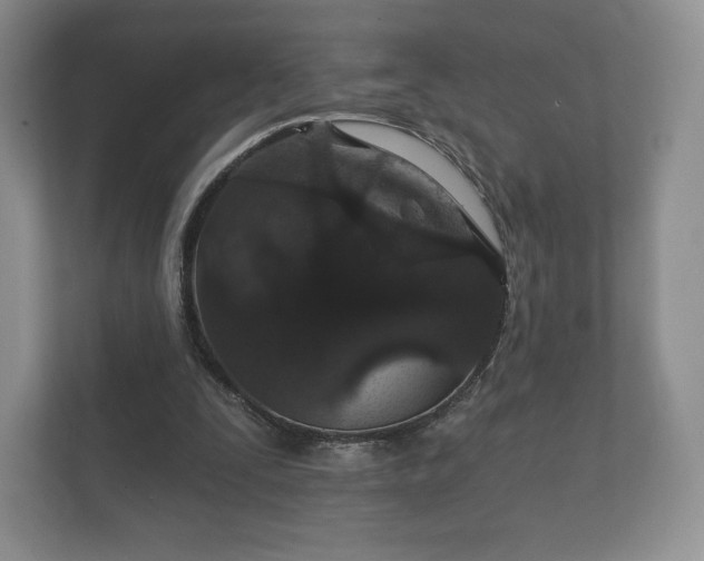 X0000112430295200908211206