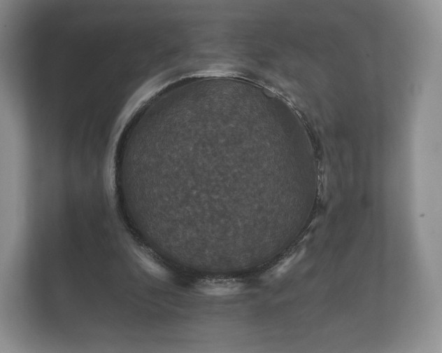 X0000112430296200908211206