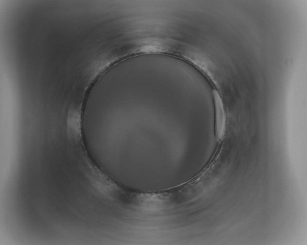 X0000112430297200908211206