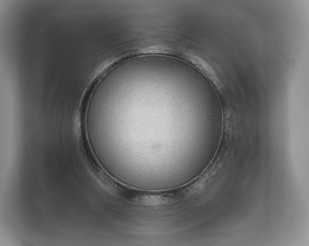 X0000112430298200908211206