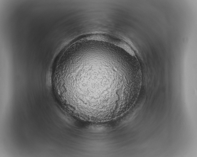 X0000112430299200908211206