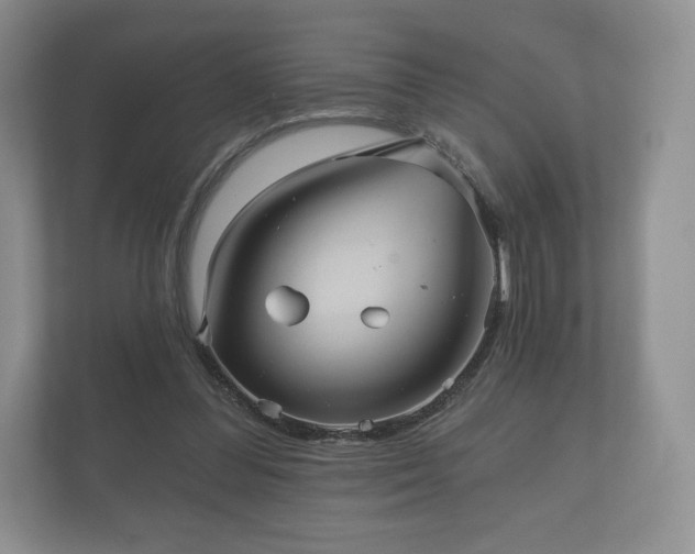 X0000112430300200908211206
