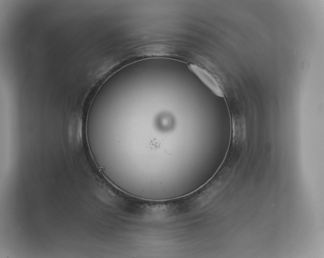 X0000112430301200908211206