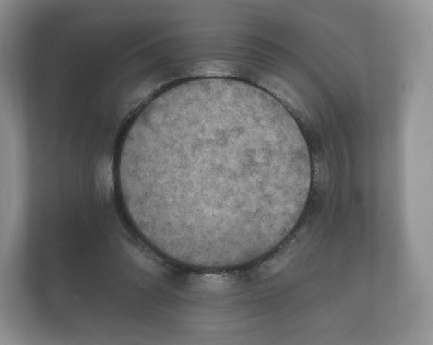 X0000112430302200908211206