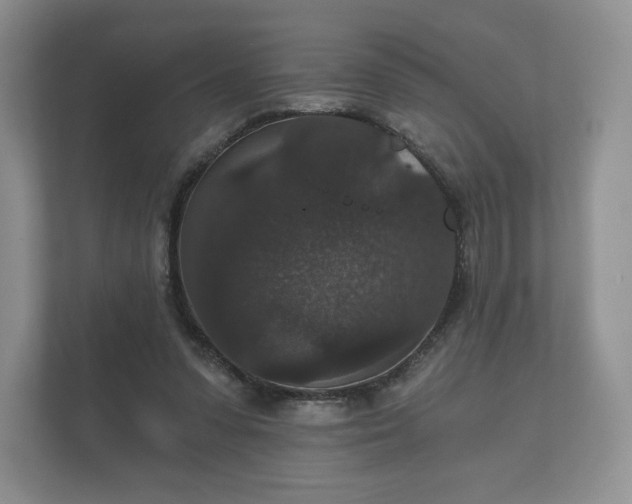 X0000112430303200908211206