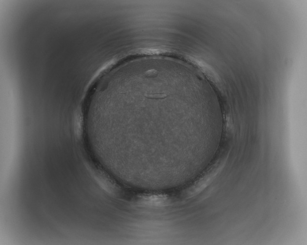 X0000112430304200908211206