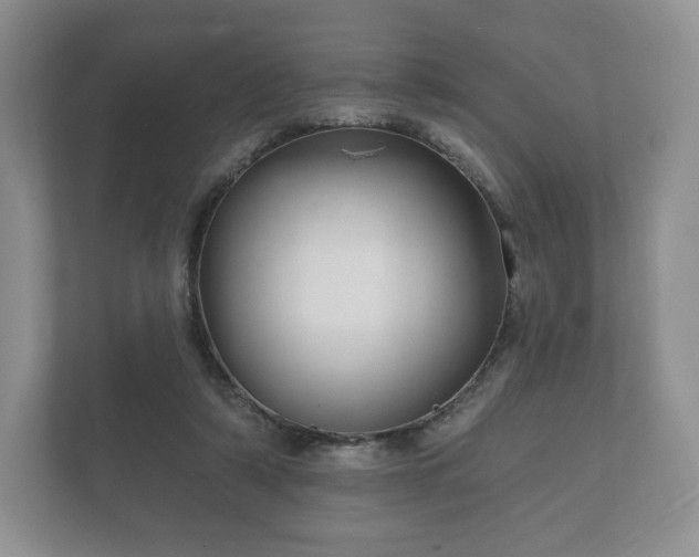 X0000112430306200908211206