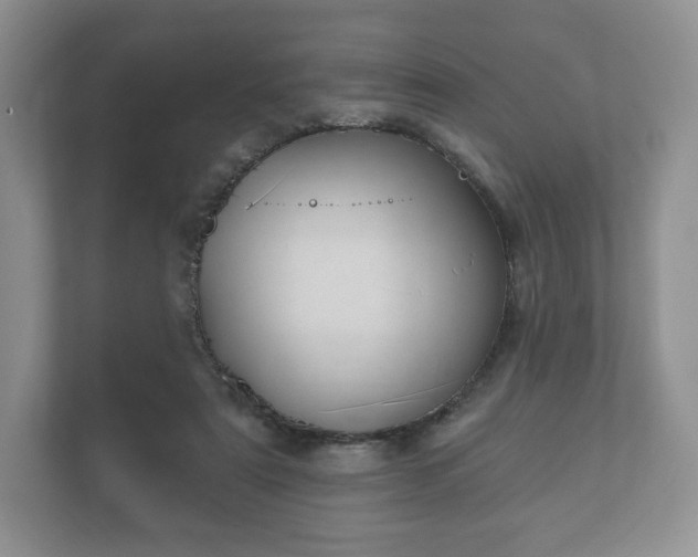 X0000112430307200908211206