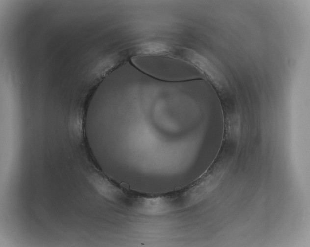 X0000112430309200908211206