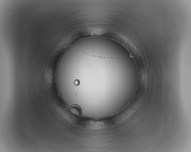 X0000112430311200908211206
