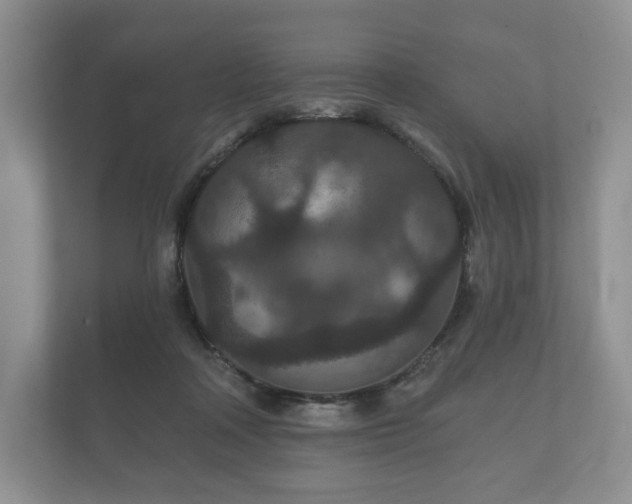 X0000112430314200908211206