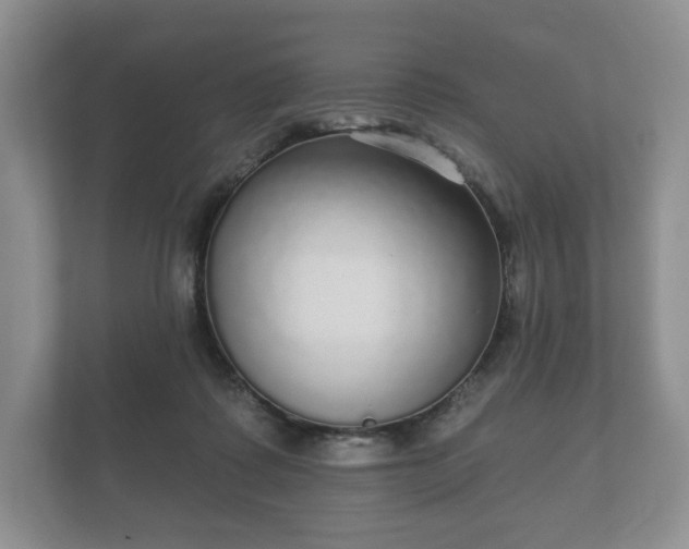 X0000112430315200908211206