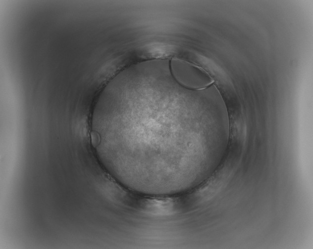 X0000112430317200908211206