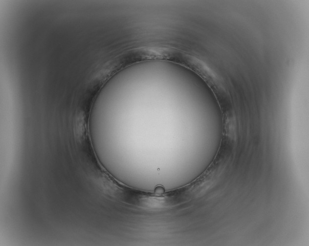 X0000112430318200908211206