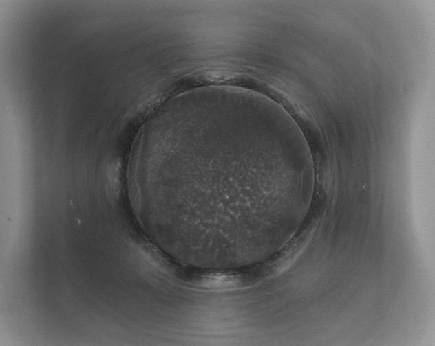 X0000112430319200908211206