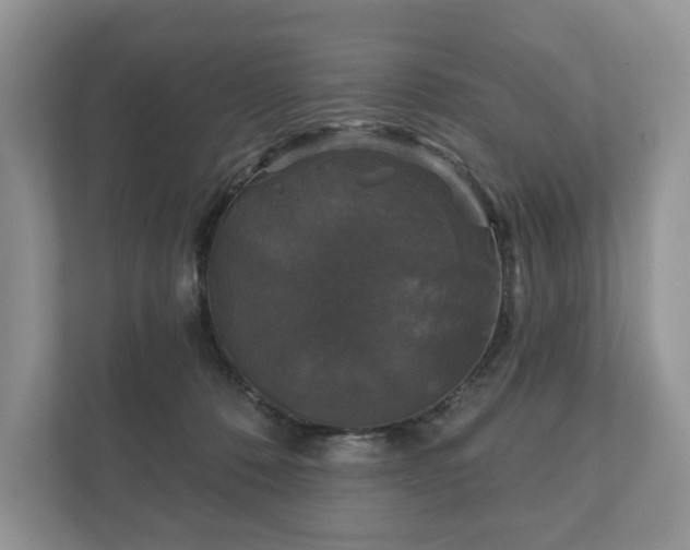 X0000112430320200908211206