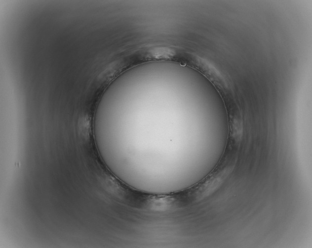 X0000112430321200908211206
