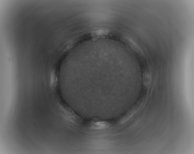 X0000112430324200908211206