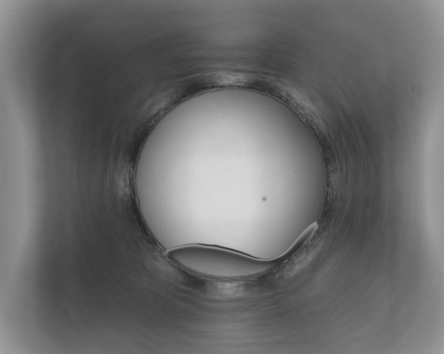 X0000112430325200908211206