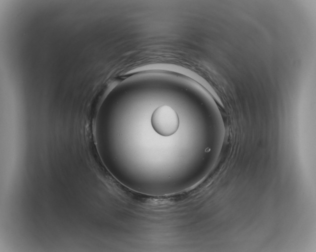 X0000112430327200908211206