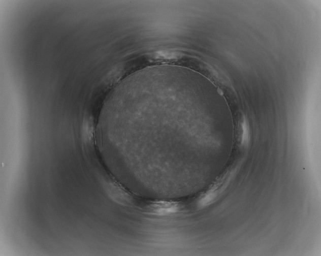 X0000112430328200908211206
