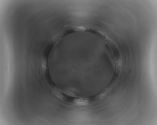 X0000112430331200908211206
