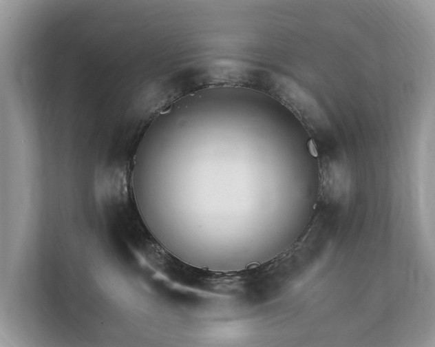 X0000112430333200908211206