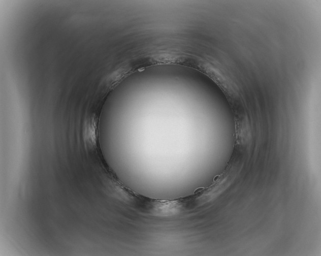 X0000112430334200908211206