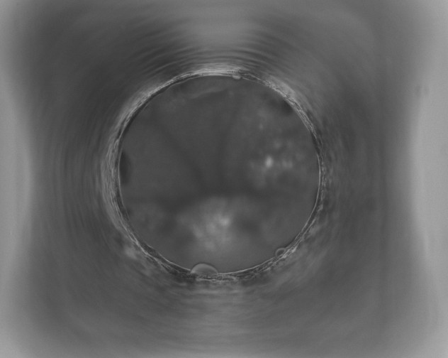 X0000112430337200908211205