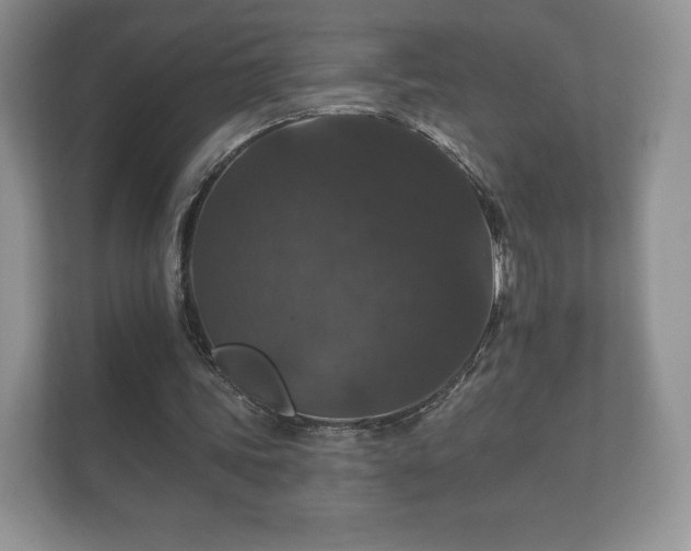 X0000112430339200908211205