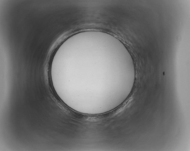 X0000112430341200908211205