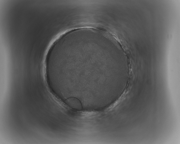 X0000112430342200908211205