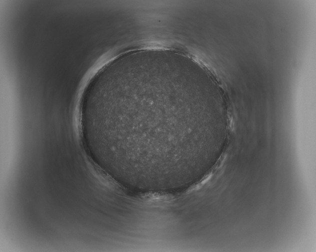 X0000112430343200908211205