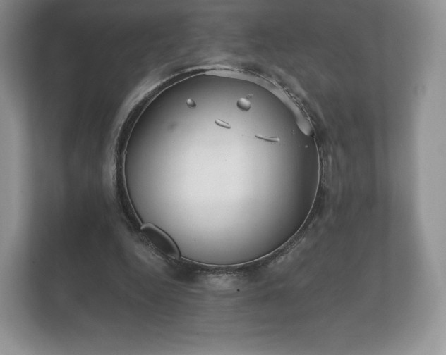X0000112430344200908211205