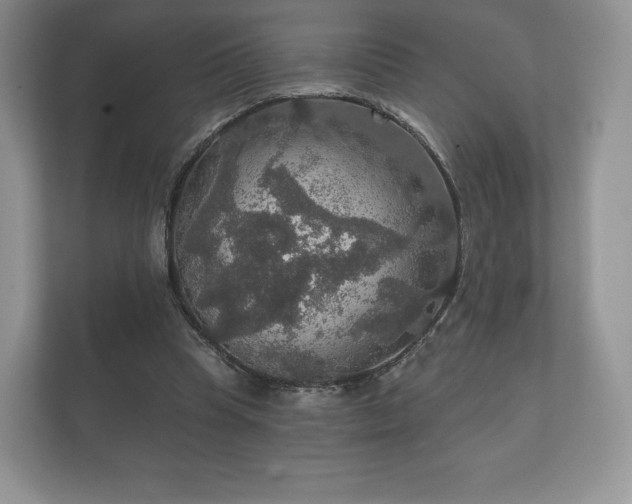 X0000112430345200908211205