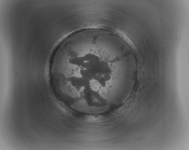 X0000112430346200908211205