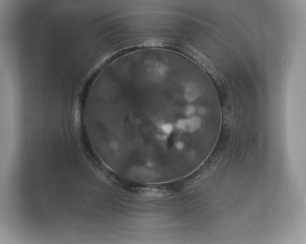 X0000112430347200908211205