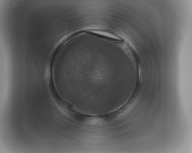 X0000112430348200908211205
