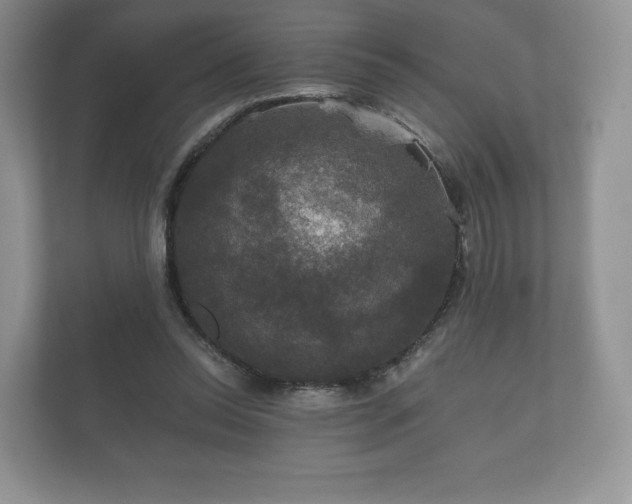 X0000112430350200908211205