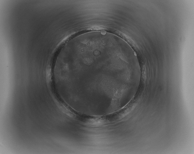 X0000112430351200908211205