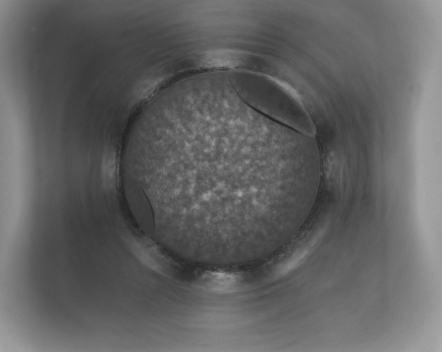 X0000112430352200908211205