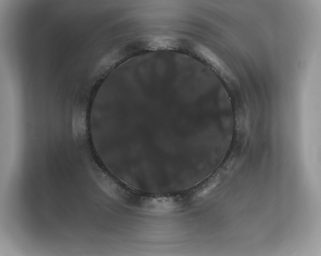 X0000112430353200908211205