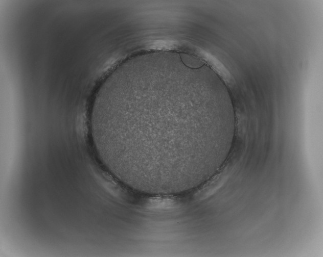 X0000112430354200908211205